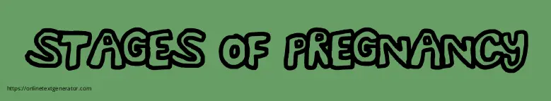 STAGES OF PREGNANCY